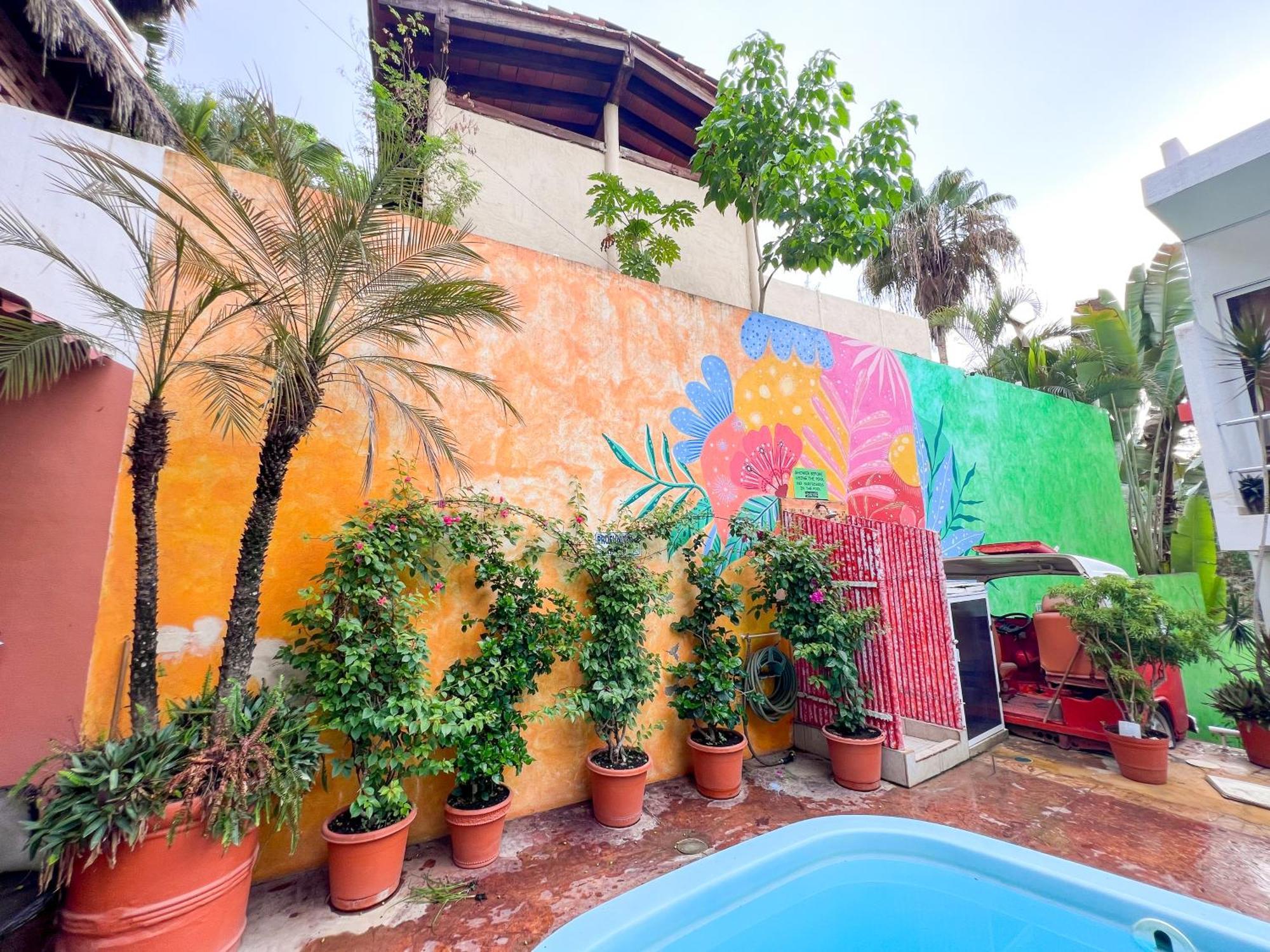 Ith Sayulita Amazing Surf Hostel Dış mekan fotoğraf